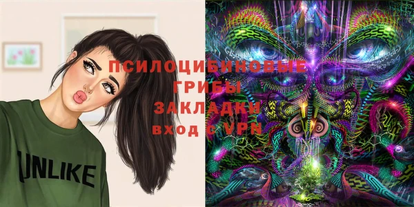 герыч Гусь-Хрустальный
