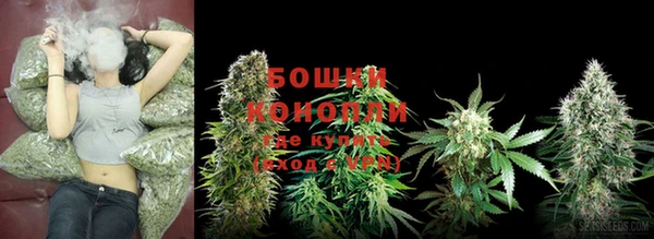 спиды Сосновоборск