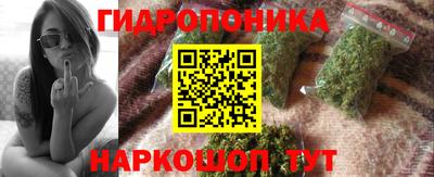 индика Моздок