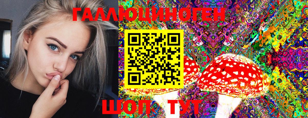 Миасс  Псилоцибиновые грибы MAGIC MUSHROOMS  Вход с VPN 